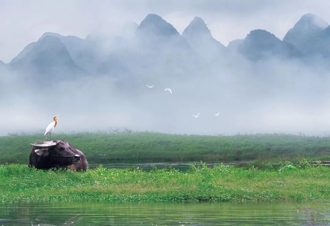 空氣能,太陽(yáng)能,熱水器